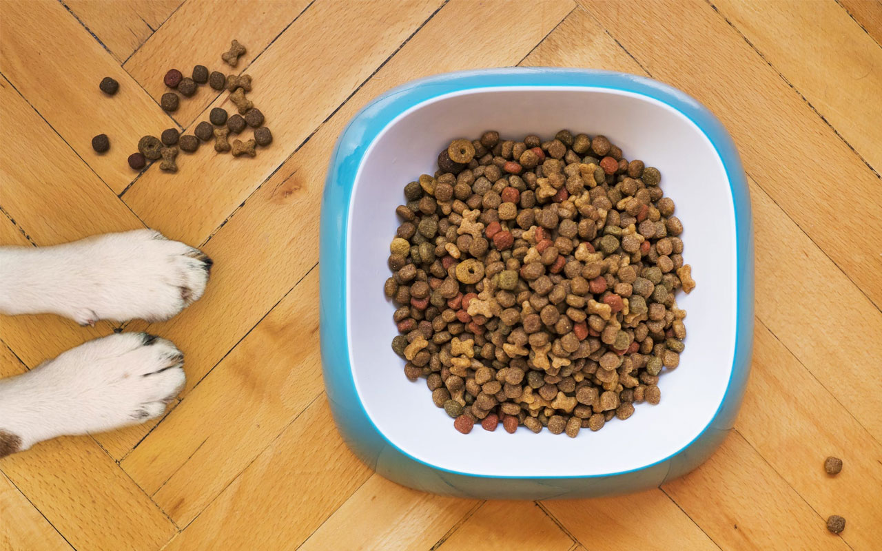 Pet Food Company Case Study